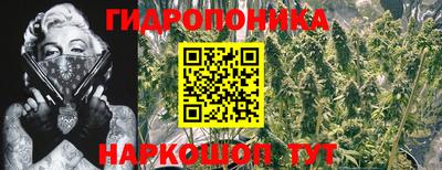 Альфа ПВП Гагарин