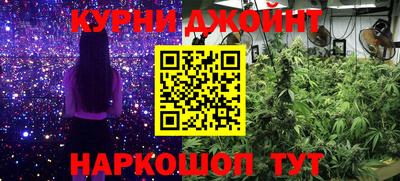 кокс Гай