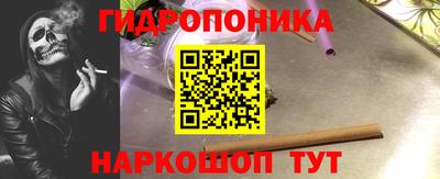 кокс Гай