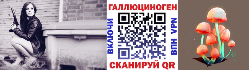 Псилоцибиновые грибы Psilocybe  omg зеркало  Зерноград 