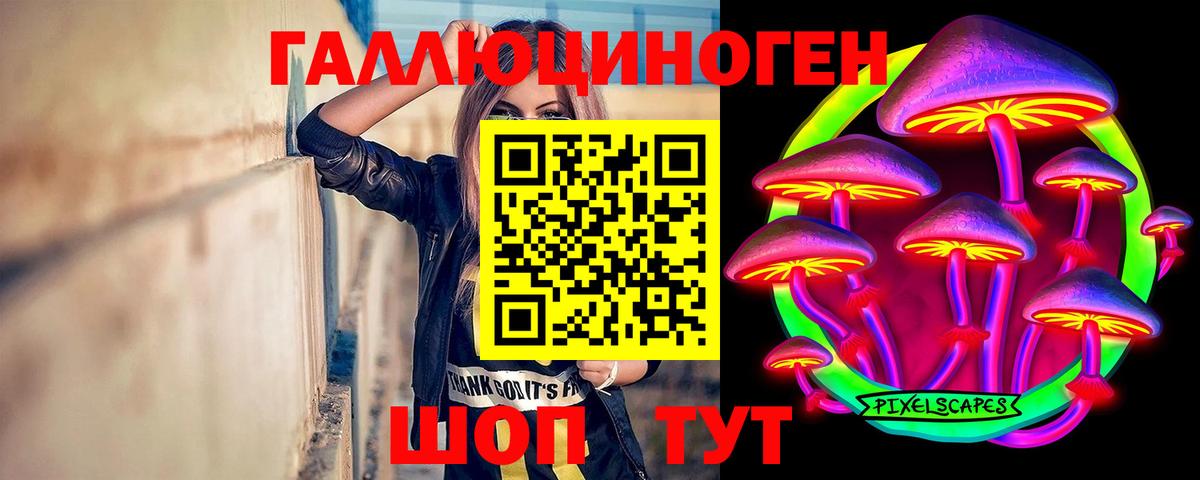 Галлюциногенные грибы Psilocybine cubensis  Вход с VPN  Зерноград 
