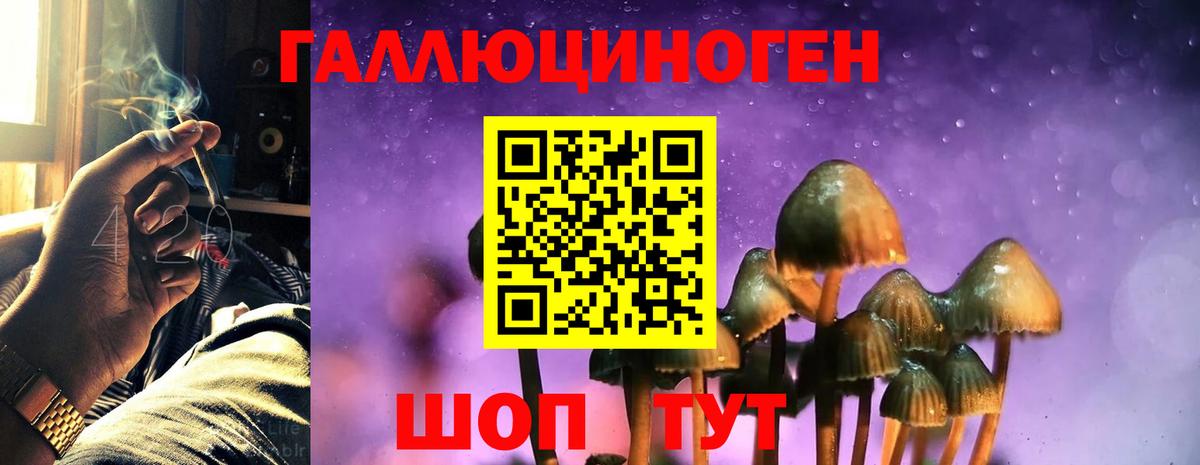 Псилоцибиновые грибы мицелий Зерноград